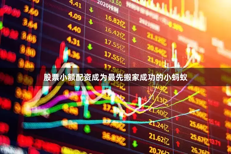 股票小额配资成为最先搬家成功的小蚂蚁