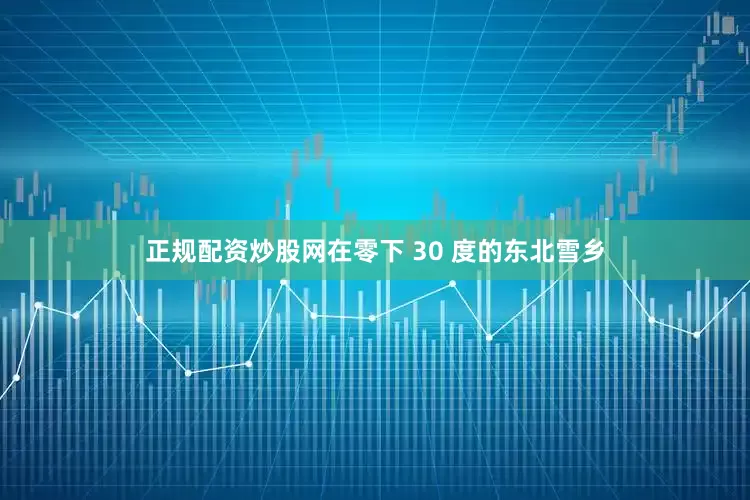 正规配资炒股网在零下 30 度的东北雪乡