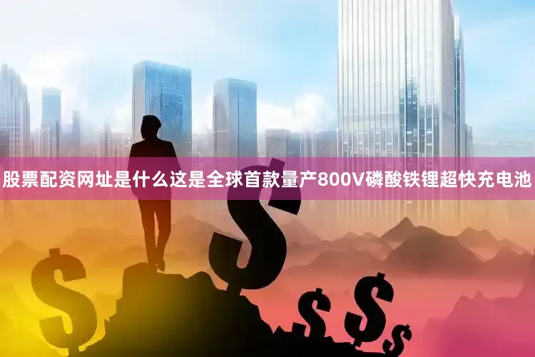 股票配资网址是什么这是全球首款量产800V磷酸铁锂超快充电池
