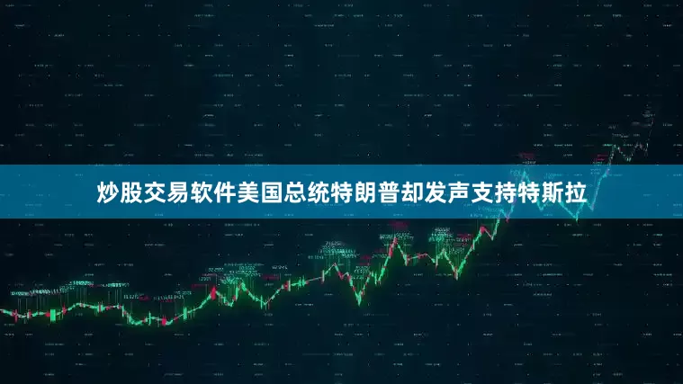 炒股交易软件美国总统特朗普却发声支持特斯拉
